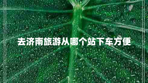 去濟南旅游從哪個站下車方便