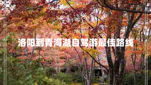 洛陽(yáng)到青海湖自駕游最佳路線