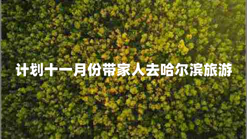 計(jì)劃十一月份帶家人去哈爾濱旅游