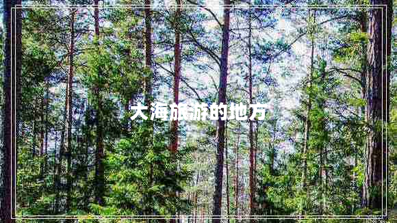 大海旅游的地方 大海旅游的地方
