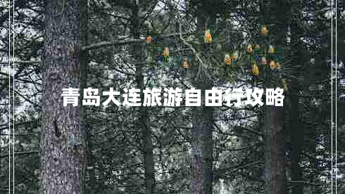 青島大連旅游自由行攻略