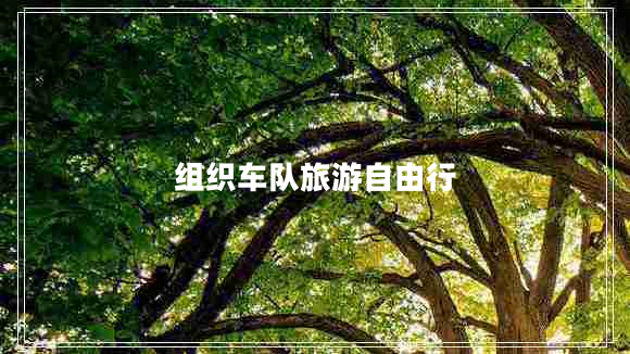 組織車隊(duì)旅游自由行
