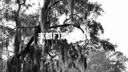 豐都門票多少錢