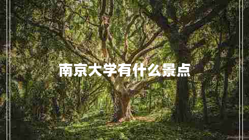 南京大學(xué)有什么景點(diǎn) 南京大學(xué)有什么景點(diǎn)
