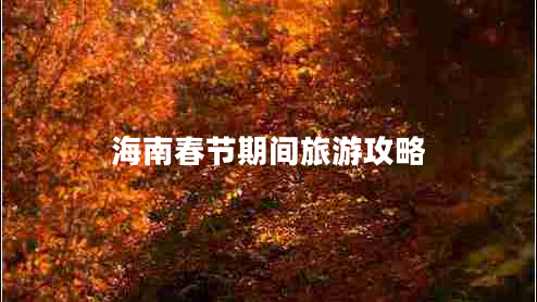 海南春節(jié)期間旅游攻略 海南春節(jié)期間旅游攻略