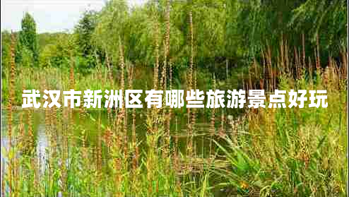 武漢市新洲區(qū)有哪些旅游景點(diǎn)好玩