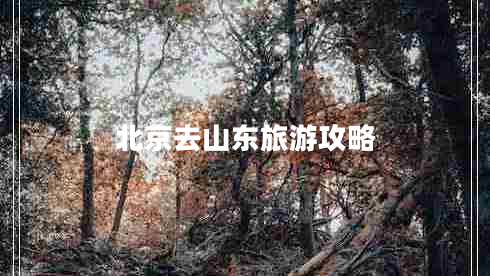 北京去山東旅游攻略
