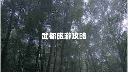 武都旅游攻略 武都旅游攻略