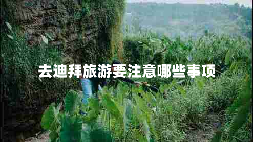 去迪拜旅游要注意哪些事項