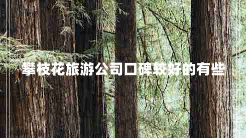 攀枝花旅游公司口碑較好的有些 攀枝花旅游公司口碑較好的有些