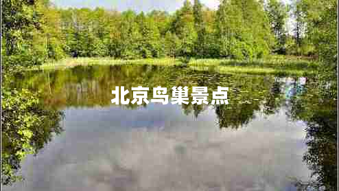 北京鳥(niǎo)巢景點(diǎn) 北京鳥(niǎo)巢景點(diǎn)