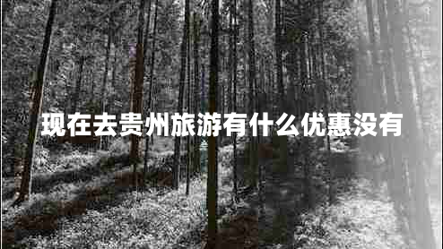 現(xiàn)在去貴州旅游有什么優(yōu)惠沒有