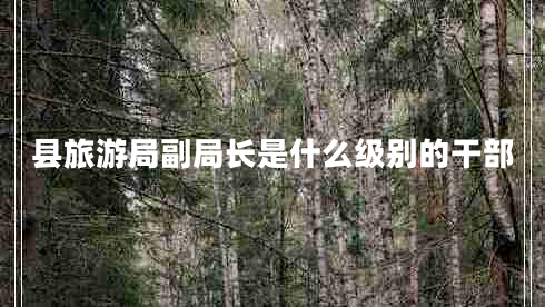 縣旅游局副局長(zhǎng)是什么級(jí)別的干部 縣旅游局副局長(zhǎng)是什么級(jí)別的干部