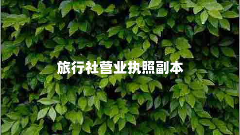 旅行社營業(yè)執(zhí)照副本