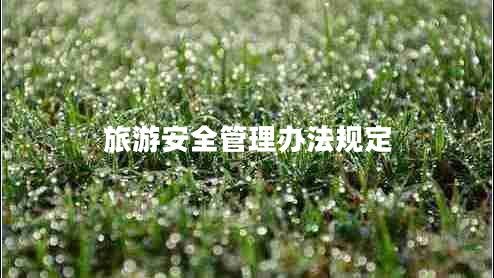 旅游安全管理辦法規(guī)定 旅游安全管理辦法規(guī)定