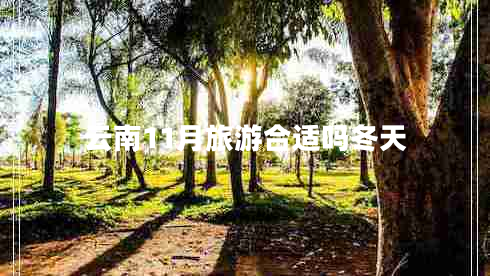 云南11月旅游合適嗎冬天 云南11月旅游合適嗎冬天