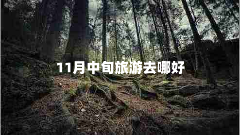 11月中旬旅游去哪好 11月中旬旅游去哪好