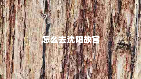 怎么去沈陽(yáng)故宮