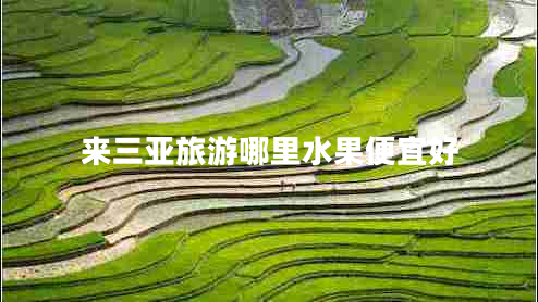 來(lái)三亞旅游哪里水果便宜好