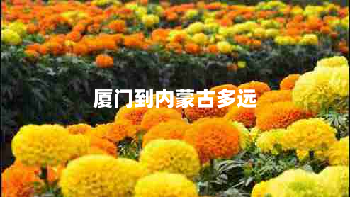 廈門到內蒙古多遠