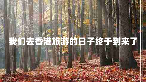 我們?nèi)ハ愀勐糜蔚娜兆咏K于到來了