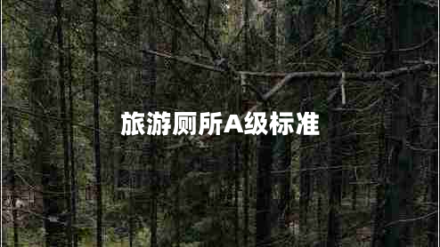 旅游廁所A級標準