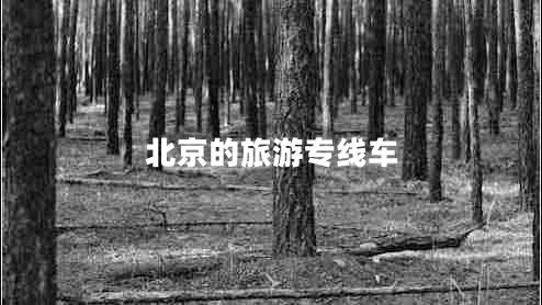 北京的旅游專線車 北京的旅游專線車
