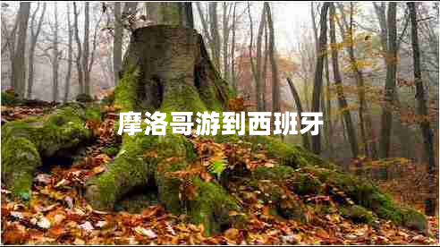 摩洛哥游到西班牙 摩洛哥游到西班牙