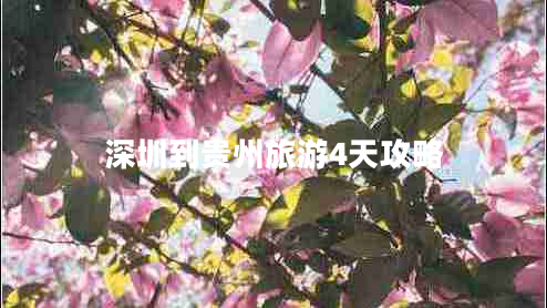 深圳到貴州旅游4天攻略