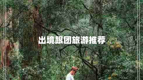 出境跟團(tuán)旅游推薦