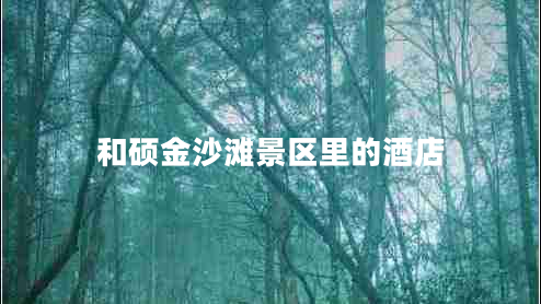 和碩金沙灘景區(qū)里的酒店 和碩金沙灘景區(qū)里的酒店