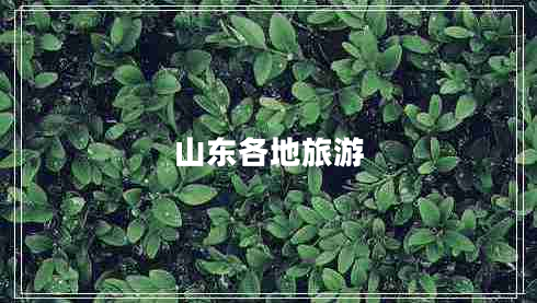山東各地旅游 山東各地旅游