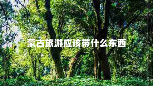 蒙古旅游應(yīng)該帶什么東西