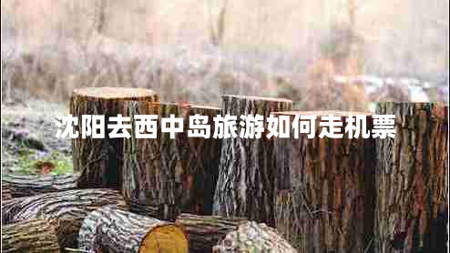 沈陽去西中島旅游如何走機票 沈陽去西中島旅游如何走機票