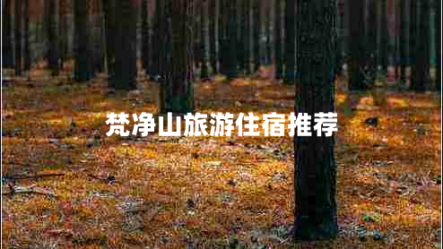 梵凈山旅游住宿推薦 梵凈山旅游住宿推薦