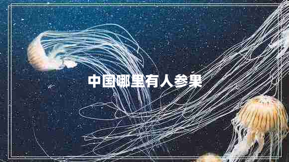 中國(guó)哪里有人參果