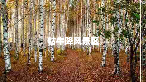 牯牛降風(fēng)景區(qū)