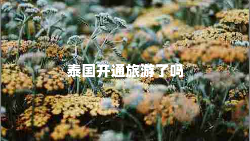 泰國開通旅游了嗎