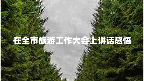 在全市旅游工作大會(huì)上講話(huà)感悟