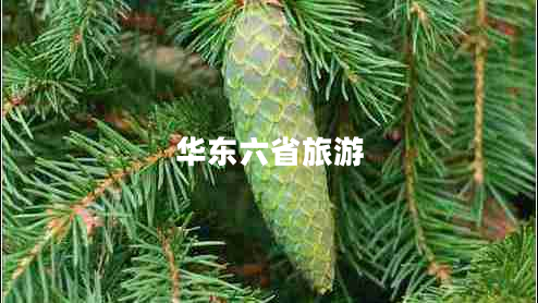 華東六省旅游 華東六省旅游