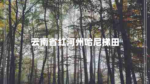 云南省紅河州哈尼梯田