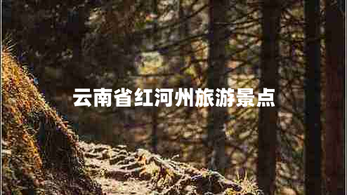 云南省紅河州旅游景點(diǎn) 云南省紅河州旅游景點(diǎn)
