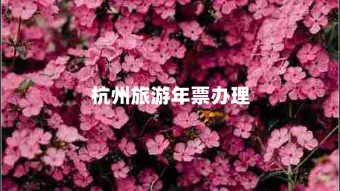 杭州旅游年票辦理