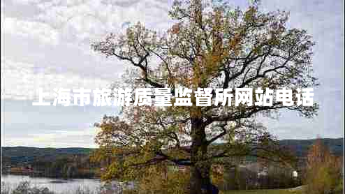 上海市旅游質(zhì)量監(jiān)督所網(wǎng)站電話