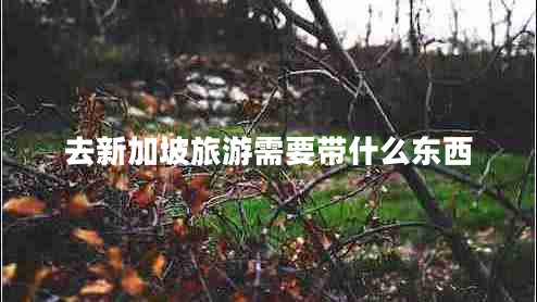 去新加坡旅游需要帶什么東西