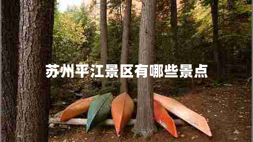蘇州平江景區(qū)有哪些景點(diǎn) 蘇州平江景區(qū)有哪些景點(diǎn)