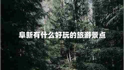 阜新有什么好玩的旅游景點