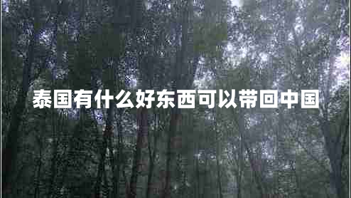 泰國(guó)有什么好東西可以帶回中國(guó) 泰國(guó)有什么好東西可以帶回中國(guó)