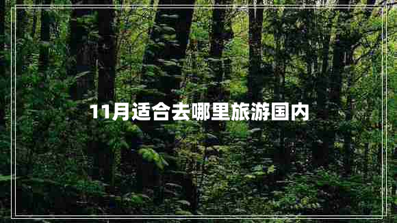 11月適合去哪里旅游國內(nèi)