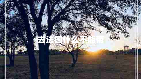 去法國什么不能帶 去法國什么不能帶